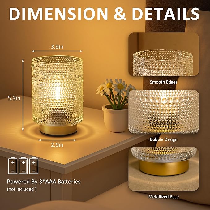 Small Decorative Aesthetic Lamp with Timer for Shelf/Bedside/Coffee Table Decor,Battery Operated Cordless Table Lamps with LED Warm Bulb for Dorm/Office/ Patio/Entryway/Mantle/Table Decor(Clear)