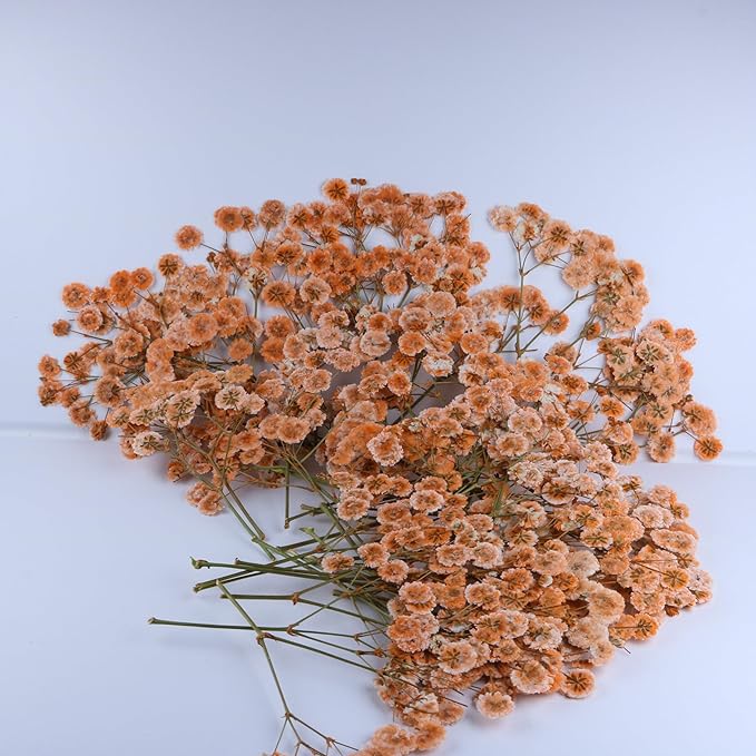 50 Pcs Orange Small Dried Babys Breath Flowers for Resin ,Real Dried Babys Breath Pressed Flower for Wedding Invitations Wax Seals ,Dry Flat Baby's Breath Flower with 1 Tweezers.