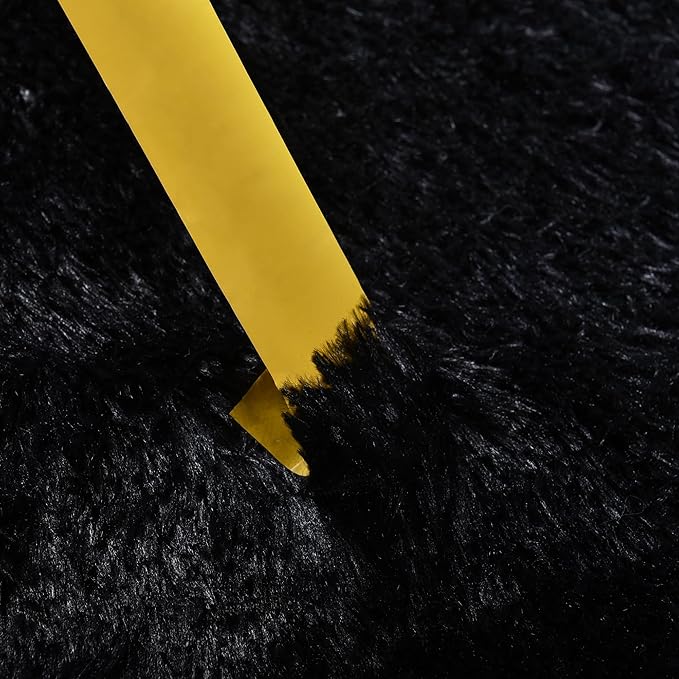 Small Black Area Rug, 2x3 Rug for Bedroom Shaggy Throw Rugs for Dorm Rug, Soft Shag Carpet for Kids Room, Plush Comfy Fluffy Bedside Rug for Home Decor Aesthetic