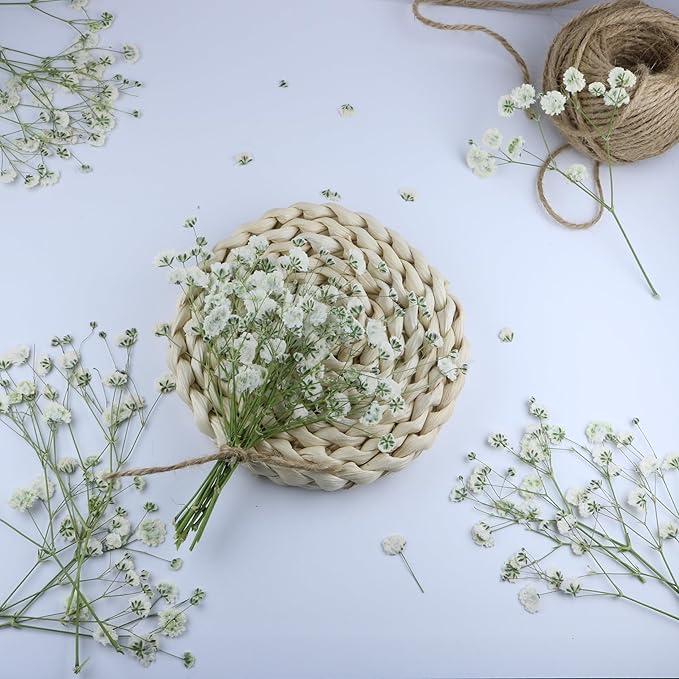 100 Pcs White Natural Baby's Breath Real Dried Pressed Flowers ,for Scrapbooking Supplies Card Making Supplies Resin Jewelry Making Soap and Candle Making.