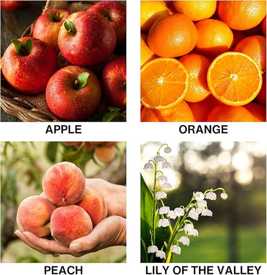 Lush Orchard Aromatherapy Diffuser – Reed Diffusers for Home with Apple, Orange, Long-Lasting Essential Oil Scent – 50ml