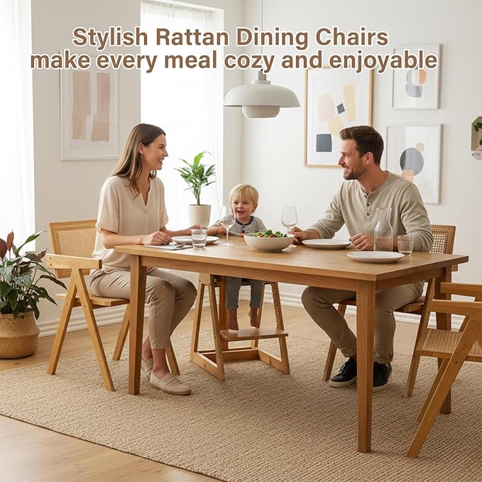 Rattan Dining Chairs Set of 2, Modern Mid Century Accent Chairs, Comfy Armchairs, Outdoor Rattan Chairs with Armrest for Bedroom Living Room Reading Room Dining Kitchen