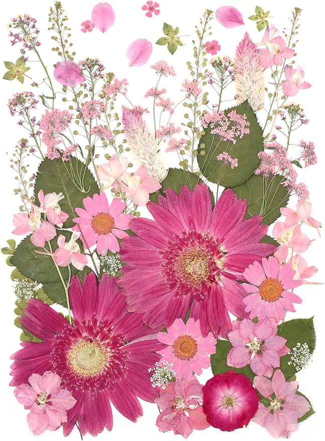 12“ Large Bulk Dried Pressed Flowers for Glass Frame, Real Dry Natural Flower Leaf for Resin Mold, Cake Decor, Holiday Decorations, Phone Cases, Invitations (Pink Fairy)