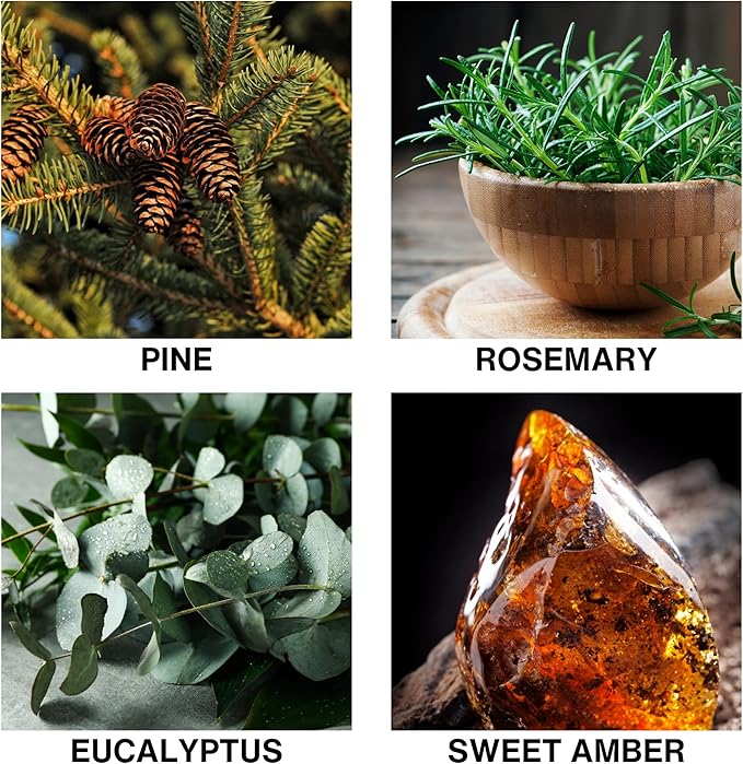 Misty Pines Reed Diffuser – Luxury Reed Diffuser with Fresh Pine, Eucalyptus, Rosemary & Sweet Amber – Long Lasting, Crafted by Perfumers Home Fragrance – 150ml