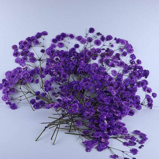 50 Branches Purple Pressed Flowers Bulk Dried Flower Kit for Resin , Dried Babys Breath Flower Natural with Tweezer for Crafts Christmas DIY Gift Scrapbooking Photo Props.