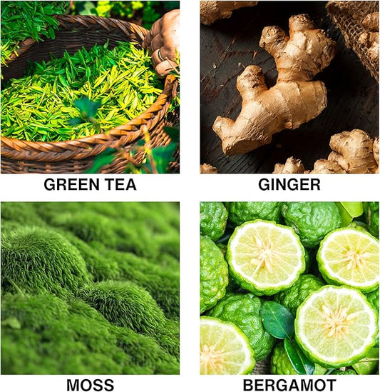 Spice Odyssey Luxury Reed Diffuser – Green Tea, Ginger, Moss & Bergamot Scent – Long Lasting Diffusers for Home, Crafted by Expert Perfumers – 50ml