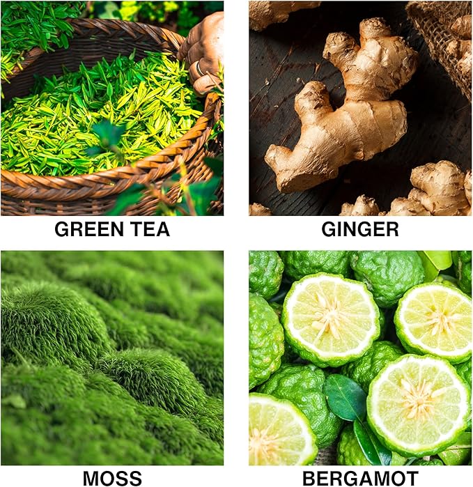 Spice Odyssey Luxury Reed Diffuser – Aromatherapy Diffusers for Home with Green Tea, Ginger, Moss & Bergamot – Long Lasting Fragrance – 150ml