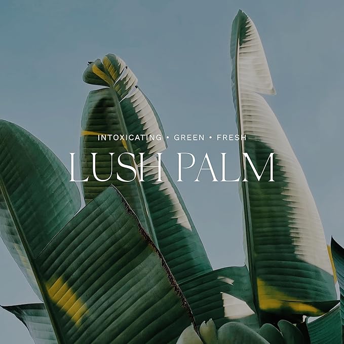 Antica Farmacista Home Ambiance Diffuser - Long-Lasting Reed Scent Diffuser - Luxury Room Freshener Gift - Lush Palm, 16.9 fl oz