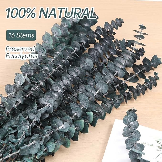 16 Pcs Dried Eucalyptus Stems, 17'' Natural Fresh Eucalyptus Leaves Branches Hanging for Shower, Preserved Real Blue Plant Live for Home SPA Wall Bathroom Wedding Party Vase Decor