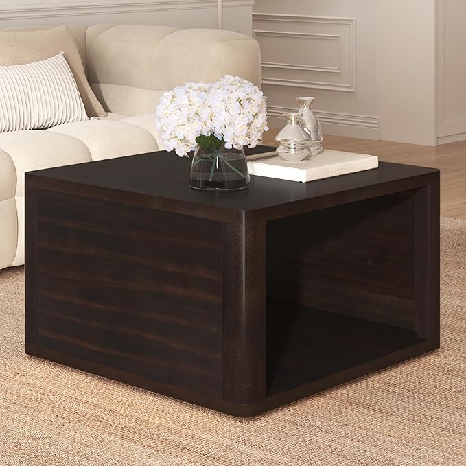 Harper & Bright Designs Square Coffee Table for Living Room in Dark Brown Farmhouse Coffee Table with Storage,2-Tier Center Table with Half Open Storage Compartment in 30.8"