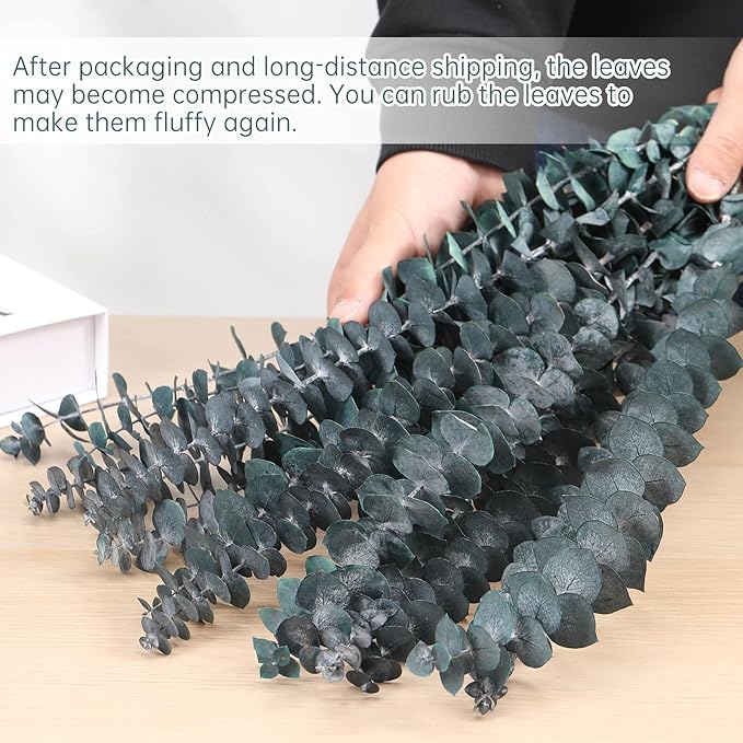 16 Pcs Dried Eucalyptus Stems, 17'' Natural Fresh Eucalyptus Leaves Branches Hanging for Shower, Preserved Real Blue Plant Live for Home SPA Wall Bathroom Wedding Party Vase Decor