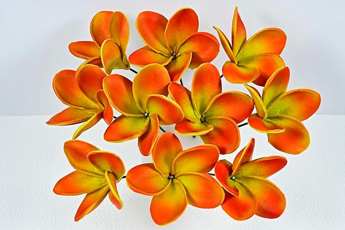 Birthday Gifts for Women Men 10pcs Unique Red Green Flowers PU Real Touch Flowers Hawaiian Plumeria Frangipani Artificial Flowers for DIY Birthday Gifts Wedding Gifts Home Decor Table Centerpiece