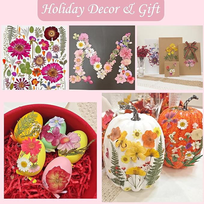 100 Pcs Dried Pressed Flowers for Crafts, Preserved & Dehydrated in Pink/Purple/Blue for Resin Art, Jewelry, Candle/Soap Making - Tweezers Included