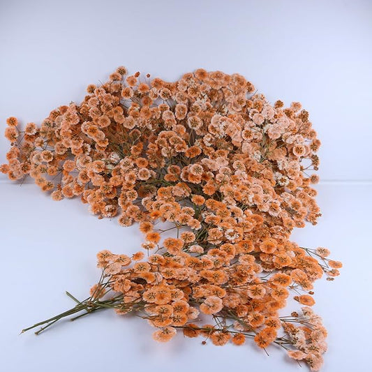 100 Pcs Orange Small Dried Babys Breath Flowers for Resin ,Real Dried Babys Breath Pressed Flower for Wedding Invitations Wax Seals ,Dry Flat Baby's Breath Flower with 1 Tweezers.