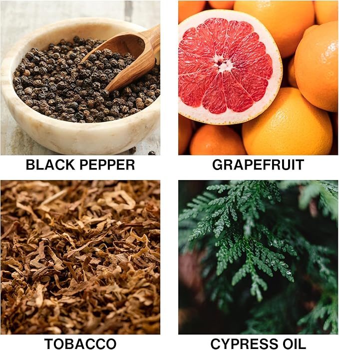 Cypress Blaze Aromatherapy Diffuser – Long-Lasting Home Fragrance Diffuser with Tobacco, Cypress & Grapefruit, Scented Oil Sticks for Room, Office, or Bathroom – 150ml
