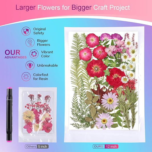 A5 Large Bulk Christmas Dried Pressed Flowers for Christmas Decor, Real Dry Natural Flower Leaf Daisy for Resin Mold, Cake Decor, Phone Cases ( Romantic Rose)