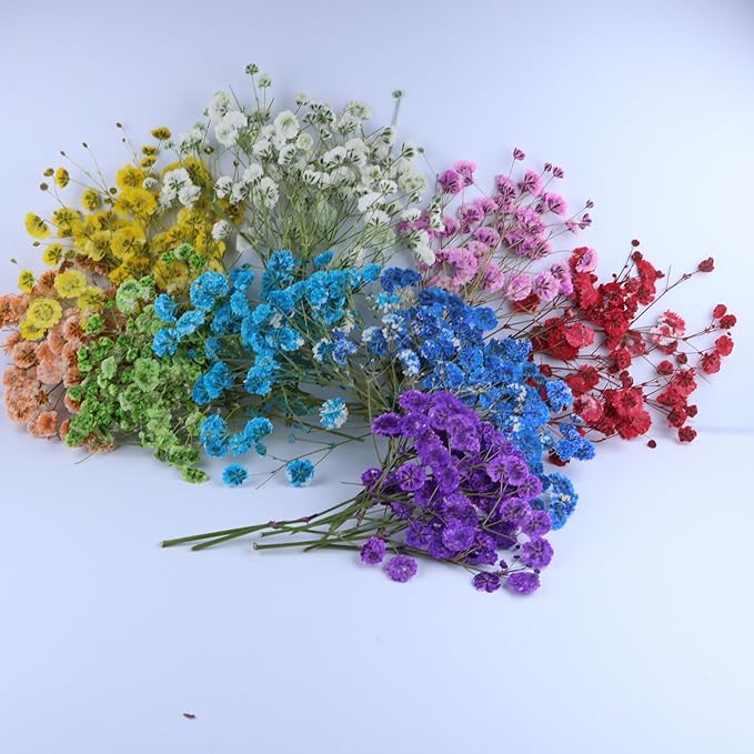 Colorful 45 Pcs Minir Baby's Breath Flowe for Resin Art / Invitations Card Decor/Bookmark Jewelry DIY Craft, Real Dried Pressed Baby Breath Flowers Bulk with 1 Tweezers.
