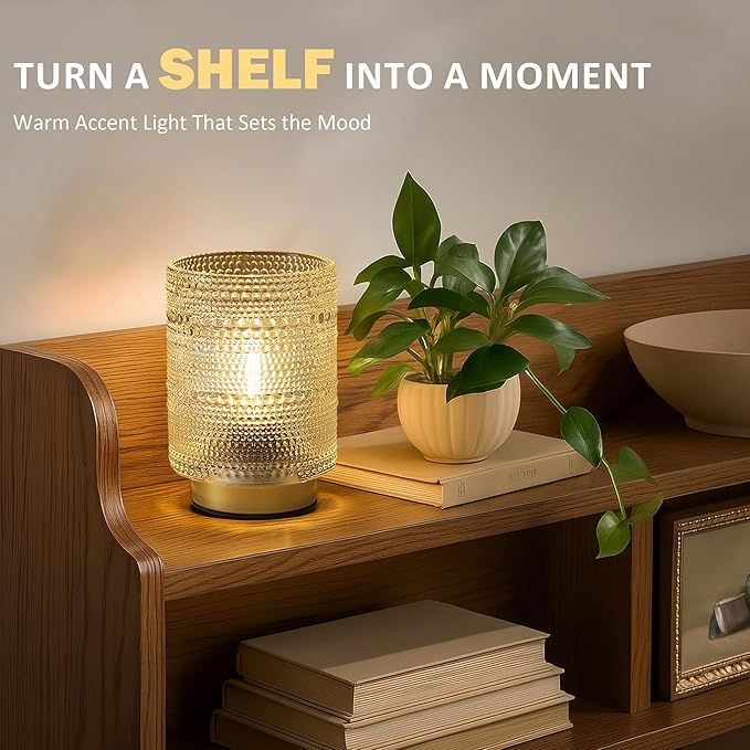 Small Decorative Aesthetic Lamp with Timer for Shelf/Bedside/Coffee Table Decor,Battery Operated Cordless Table Lamps with LED Warm Bulb for Dorm/Office/ Patio/Entryway/Mantle/Table Decor(Clear)