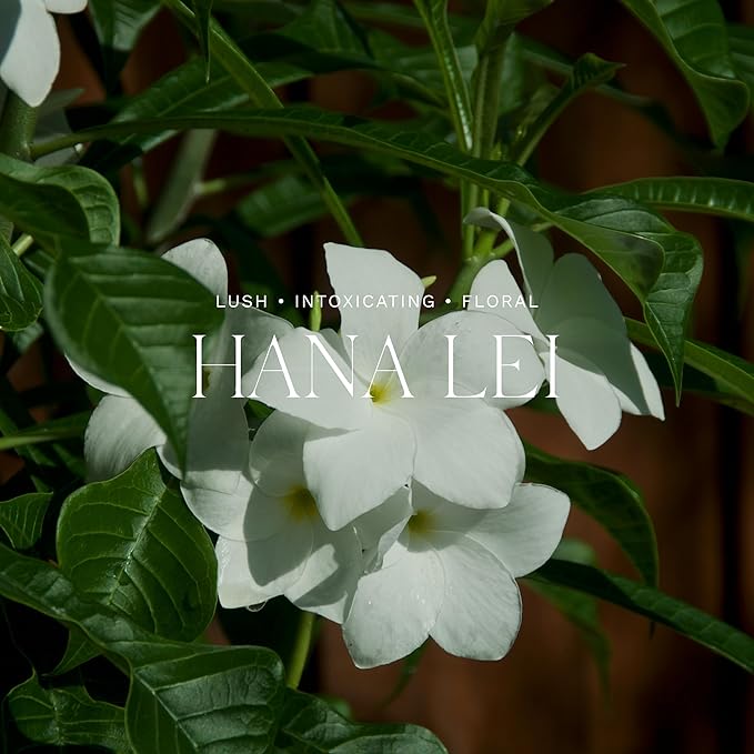 Antica Farmacista Home Ambiance Diffuser - Long-Lasting Reed Scent Diffuser - Luxury Room Freshener Gift - Hana Lei, 16.9 fl oz