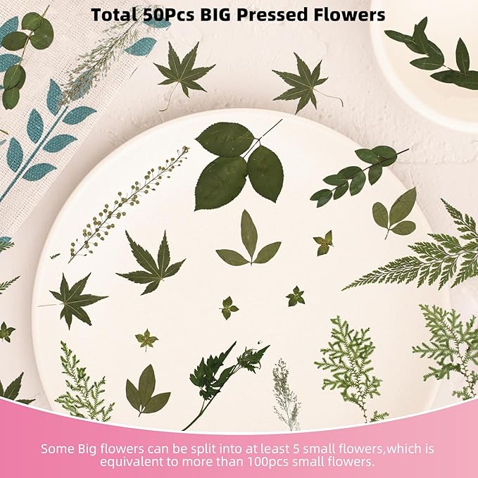 12“ Large Bulk Summer Dried Pressed Flowers for Glass Frame, Real Dry Natural Flower Leaf Daisy for Resin Mold, Cake Decor, Phone Cases (Dried Green Leaves)