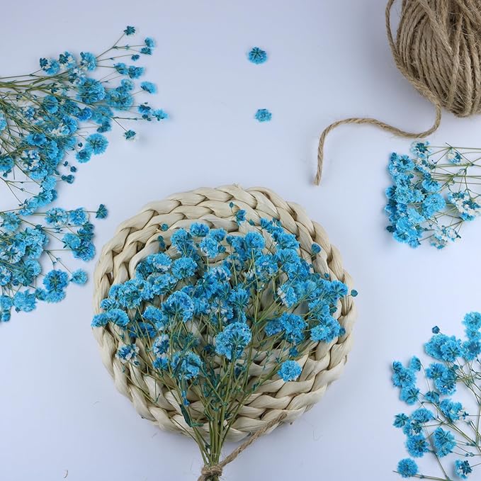 50 Branches Lake Blue Pressed Flowers Bulk Dried Flower Kit for Resin , Dried Babys Breath Flower Natural with Tweezer for Crafts Christmas DIY Gift Scrapbooking Photo Props.