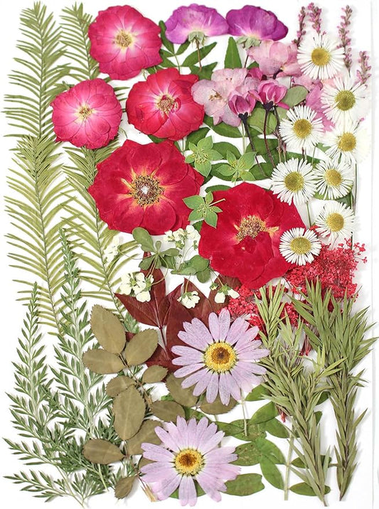 A5 Large Bulk Christmas Dried Pressed Flowers for Christmas Decor, Real Dry Natural Flower Leaf Daisy for Resin Mold, Cake Decor, Phone Cases ( Romantic Rose)