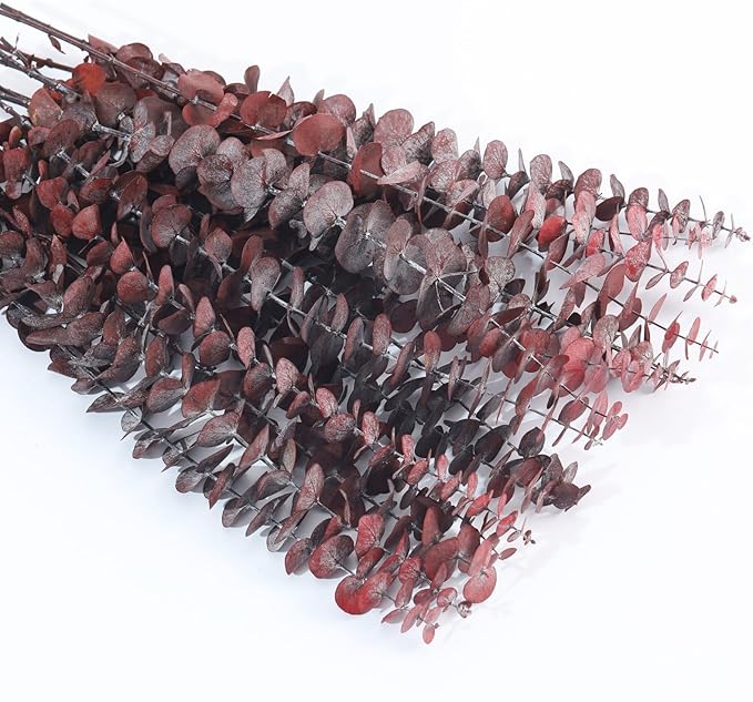 16 Pcs Dried Eucalyptus Stems, 17'' Natural Fresh Eucalyptus Leaves Branches Hanging for Shower, Preserved Real Red Plant Live Greenery for Home SPA Wall Bathroom Wedding Party Vase Decor