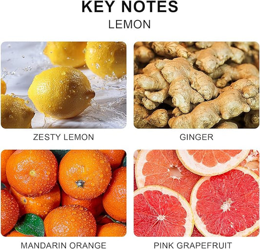 L'OEUR Vill Reed Diffuser Set - 6.7 oz (200ml) Lemon Scented Home Fragrance with 6 Oil Diffuser Sticks for Large Rooms & Bathrooms