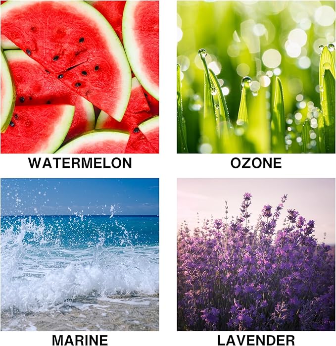 Luxury Reed Diffuser for Home – Long Lasting Home Fragrance Diffuser with Lavender, Marine, Watermelon & Ozone, Premium Essential Oils Oasis Drift – 50ml