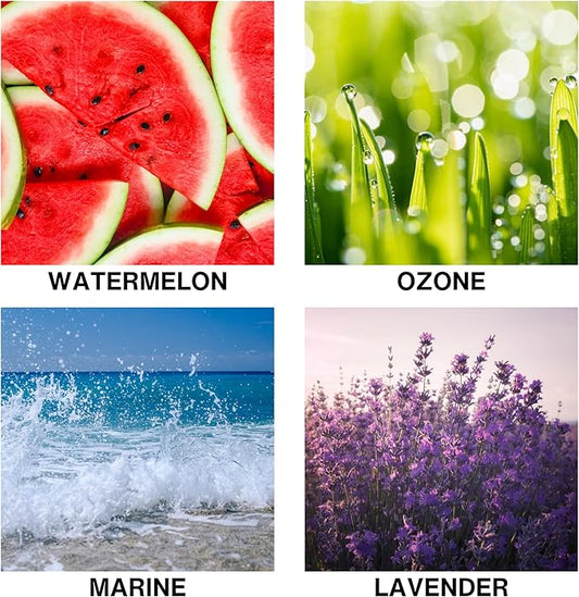 Luxury Reed Diffuser for Home – Long Lasting Home Fragrance Diffuser with Lavender, Marine, Watermelon & Ozone, Premium Essential Oils Oasis Drift – 50ml