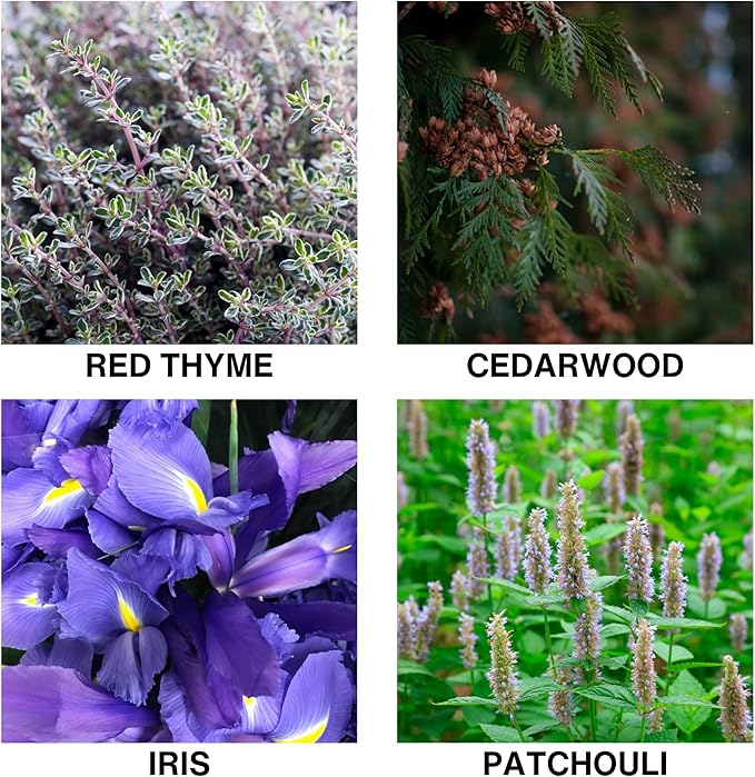 Smoked Hide Aroma Reed Diffuser – Long-Lasting Room Scent Diffuser with Formula – Premium Home Fragrance Diffuser with Essential Oils for Bedroom & Living Room – 150ml