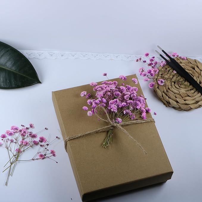 100 Pcs Pink Baby's Breath Real Dried Pressed Flowers.Vacuum-Packed Mini Dried Baby's Breath Flowe Specimen +1 Tweezers, for Resin Art /DIY Making Wedding Card/ Home Party Decor.