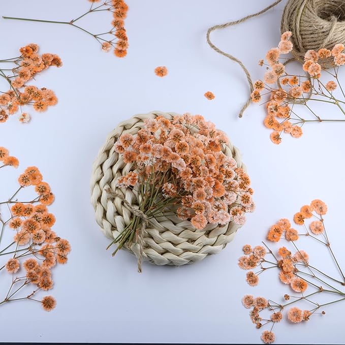 100 Pcs Orange Small Dried Babys Breath Flowers for Resin ,Real Dried Babys Breath Pressed Flower for Wedding Invitations Wax Seals ,Dry Flat Baby's Breath Flower with 1 Tweezers.