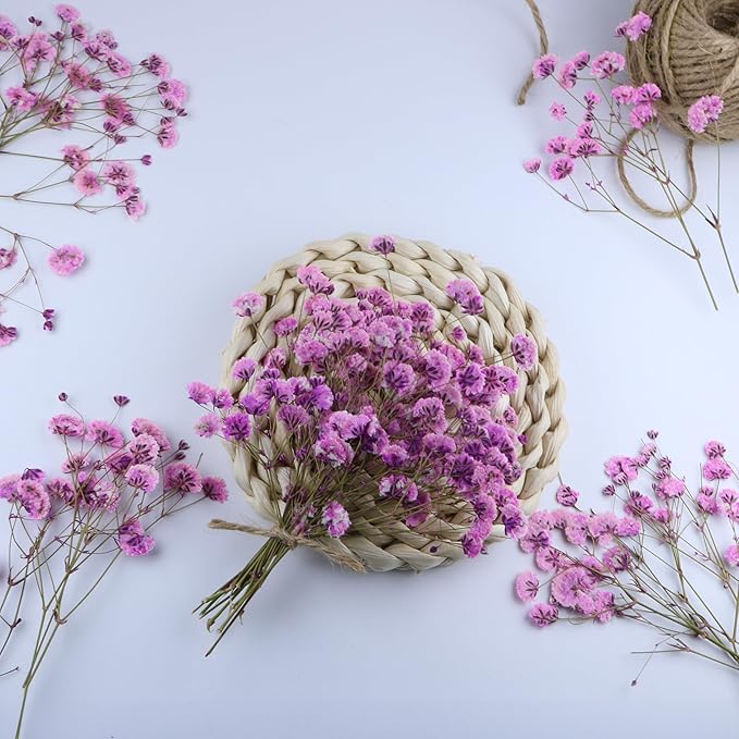 100 Pcs Pink Baby's Breath Real Dried Pressed Flowers.Vacuum-Packed Mini Dried Baby's Breath Flowe Specimen +1 Tweezers, for Resin Art /DIY Making Wedding Card/ Home Party Decor.