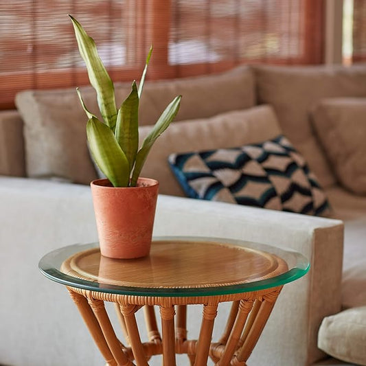 18 inch Round Glass Table Top - Clear Tempered Glass Surface Protector - Safe Beveled Edge - Coffee, Dining and End Table