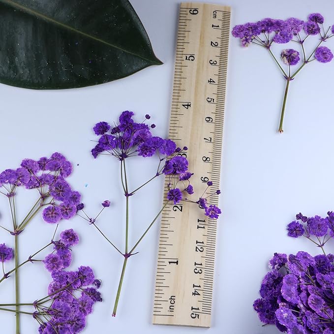 50 Branches Purple Pressed Flowers Bulk Dried Flower Kit for Resin , Dried Babys Breath Flower Natural with Tweezer for Crafts Christmas DIY Gift Scrapbooking Photo Props.