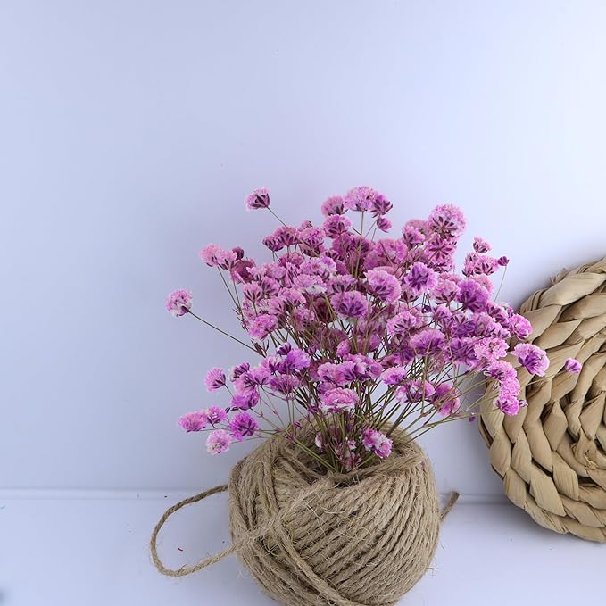 100 Pcs Pink Baby's Breath Real Dried Pressed Flowers.Vacuum-Packed Mini Dried Baby's Breath Flowe Specimen +1 Tweezers, for Resin Art /DIY Making Wedding Card/ Home Party Decor.