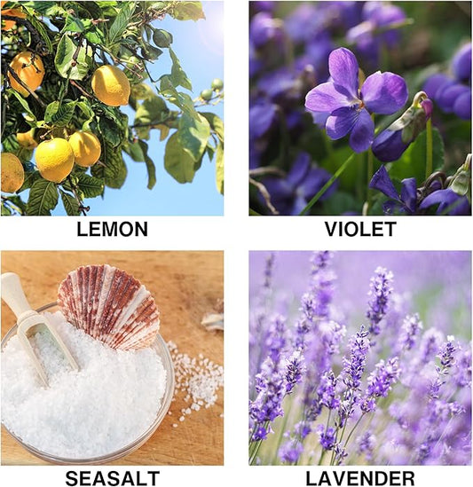 Ocean Breeze Reed Diffuser 150ml – Aroma Diffuser with Lemon, Violet, Lavender & Sea Salt – Long Lasting Reed Diffusers for Home, Crafted by Expert Perfumers – 150ml