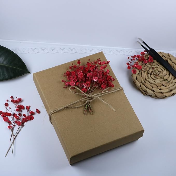 100 Pcs Red Baby's Breath Real Dried Pressed Flowers.Vacuum-Packed Mini Dried Baby's Breath Flowe Specimen +1 Tweezers, for Resin Art /DIY Making Wedding Card/ Home Party Decor.