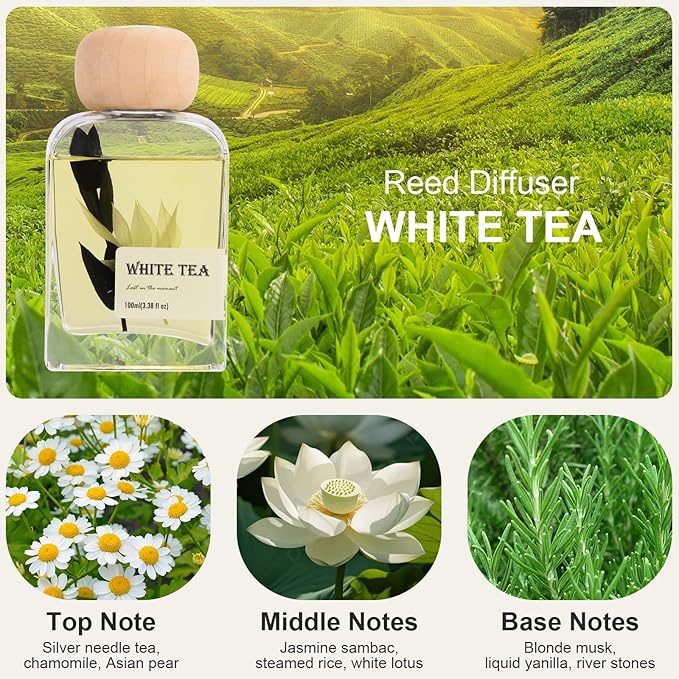 White Tea Reed Diffusers for Home, 100ml (3.38 oz) Aromatherapy for Relaxation & Air Freshener. Perfect for Home, Bathroom, Office & Room Decor, Calming Botanical Scent
