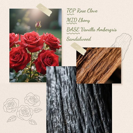 Reed Diffuser, 6.09 oz Ebony Rose Scent Diffuser with Sticks & Dried Flowers, 120 Days Long Lasting Reed diffusers for Home, Elegant Fragrance for Bathroom Bedroom Office Decor, Air Fresh