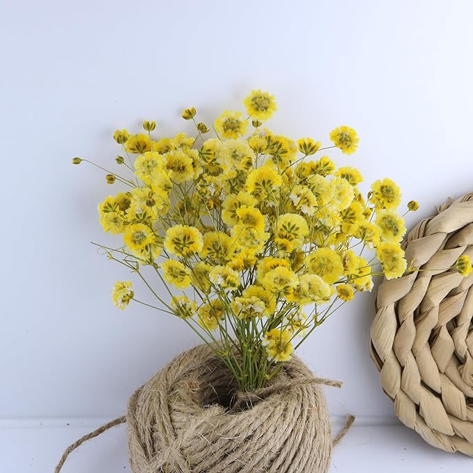 50 Pcs Yellow Small Dried Babys Breath Flowers for Resin ,Real Dried Babys Breath Pressed Flower for Wedding Invitations Wax Seals ,Dry Flat Baby's Breath Flower with 1 Tweezers.