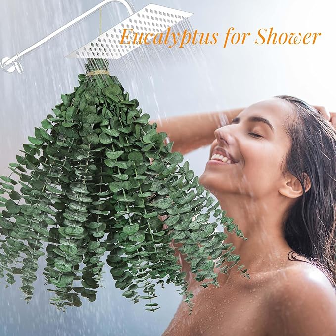 16 Pcs Dried Eucalyptus Stems, 17'' Natural Fresh Eucalyptus Leaves Branches Hanging for Shower, Preserved Real Plant Live Greenery for Home SPA Wall Bathroom Wedding Party Vase Decor