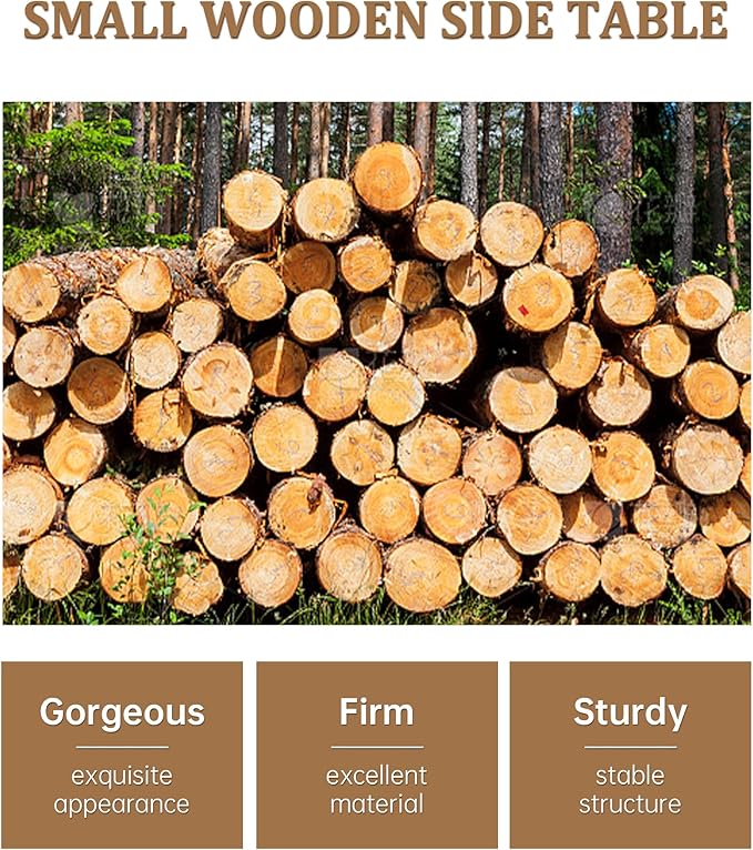 FORAOFUR End Table with Charging Station, End Tables with USB Ports and Outlets, Small Side Table for Living Room, Bedroom & Office, Two-Tier Narrow Side Table, Easy Assembly