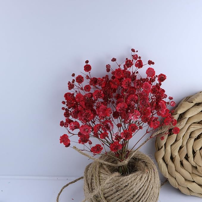 100 Pcs Red Baby's Breath Real Dried Pressed Flowers.Vacuum-Packed Mini Dried Baby's Breath Flowe Specimen +1 Tweezers, for Resin Art /DIY Making Wedding Card/ Home Party Decor.