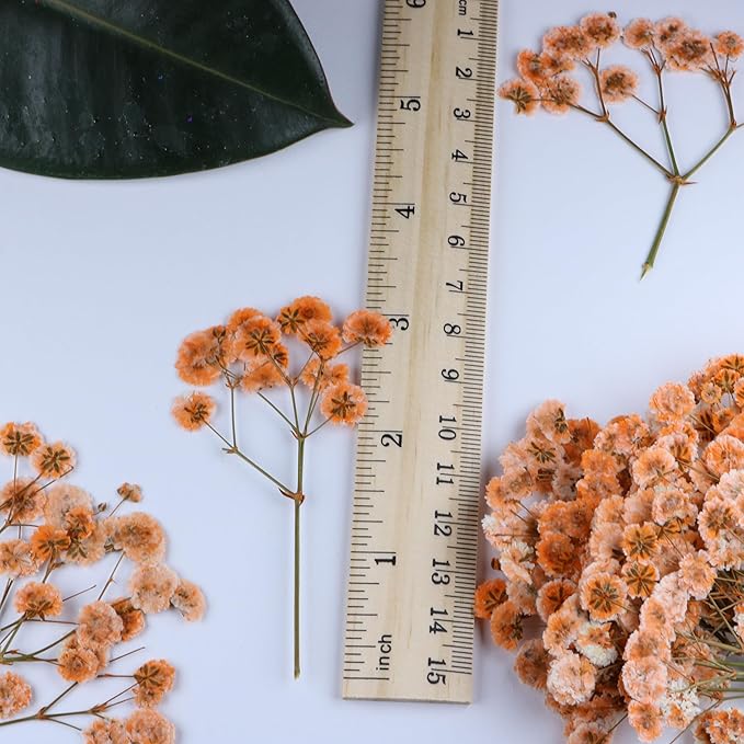 50 Pcs Orange Small Dried Babys Breath Flowers for Resin ,Real Dried Babys Breath Pressed Flower for Wedding Invitations Wax Seals ,Dry Flat Baby's Breath Flower with 1 Tweezers.