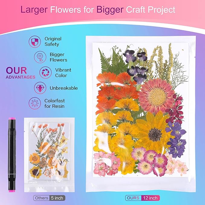 12“ Large Bulk Summer Dried Pressed Flowers for Glass Frame, Real Dry Natural Flower Leaf Daisy for Resin Mold, Cake Decor, Phone Cases (Gorgeous)