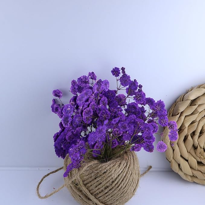 50 Branches Purple Pressed Flowers Bulk Dried Flower Kit for Resin , Dried Babys Breath Flower Natural with Tweezer for Crafts Christmas DIY Gift Scrapbooking Photo Props.