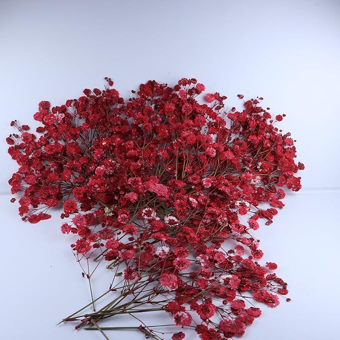 100 Pcs Red Baby's Breath Real Dried Pressed Flowers.Vacuum-Packed Mini Dried Baby's Breath Flowe Specimen +1 Tweezers, for Resin Art /DIY Making Wedding Card/ Home Party Decor.