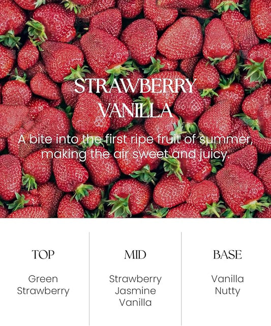 M&SENSE Strawberry Vanilla Scent Reed Diffuser Set - 8.79fl oz Home Fragrance Non-Toxic Essential Oil Diffuser with All Natural Sticks, Long Lasting Air Freshner Gifts for Housewarming Gift